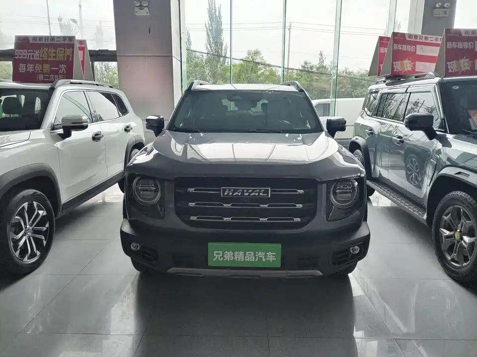 Haval Big dog