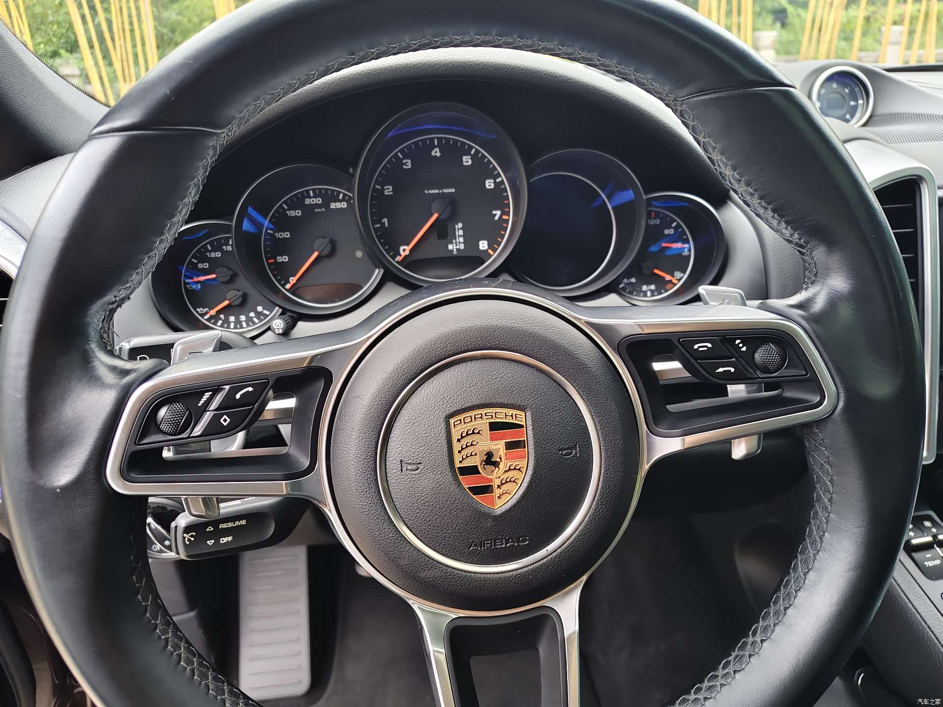 Cayenne Platinum, 2017 15