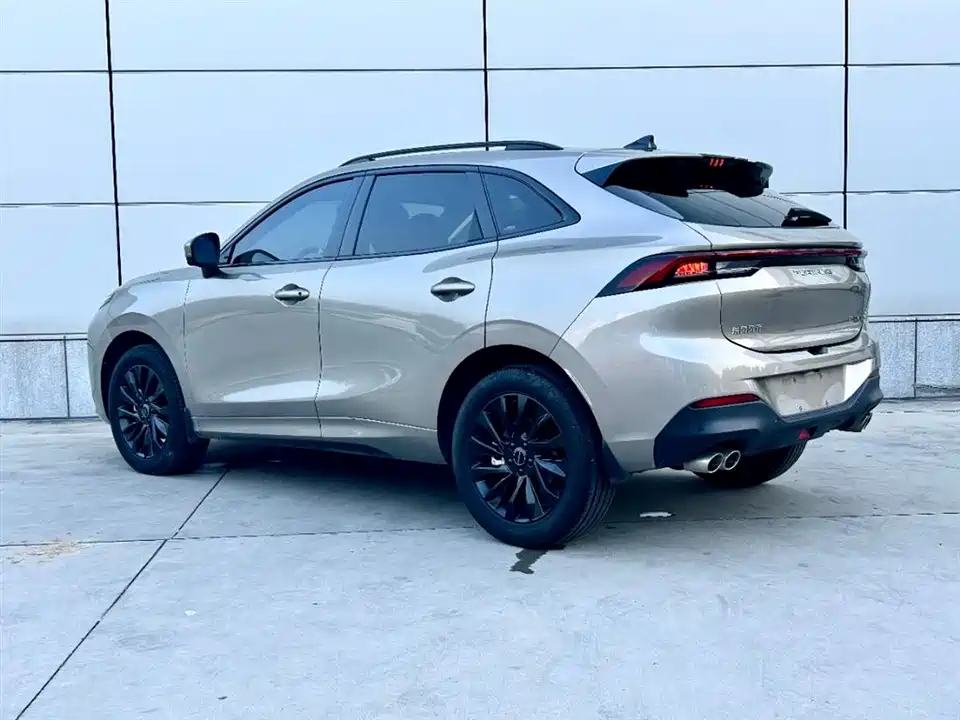 Forthing Popular T5 EVO