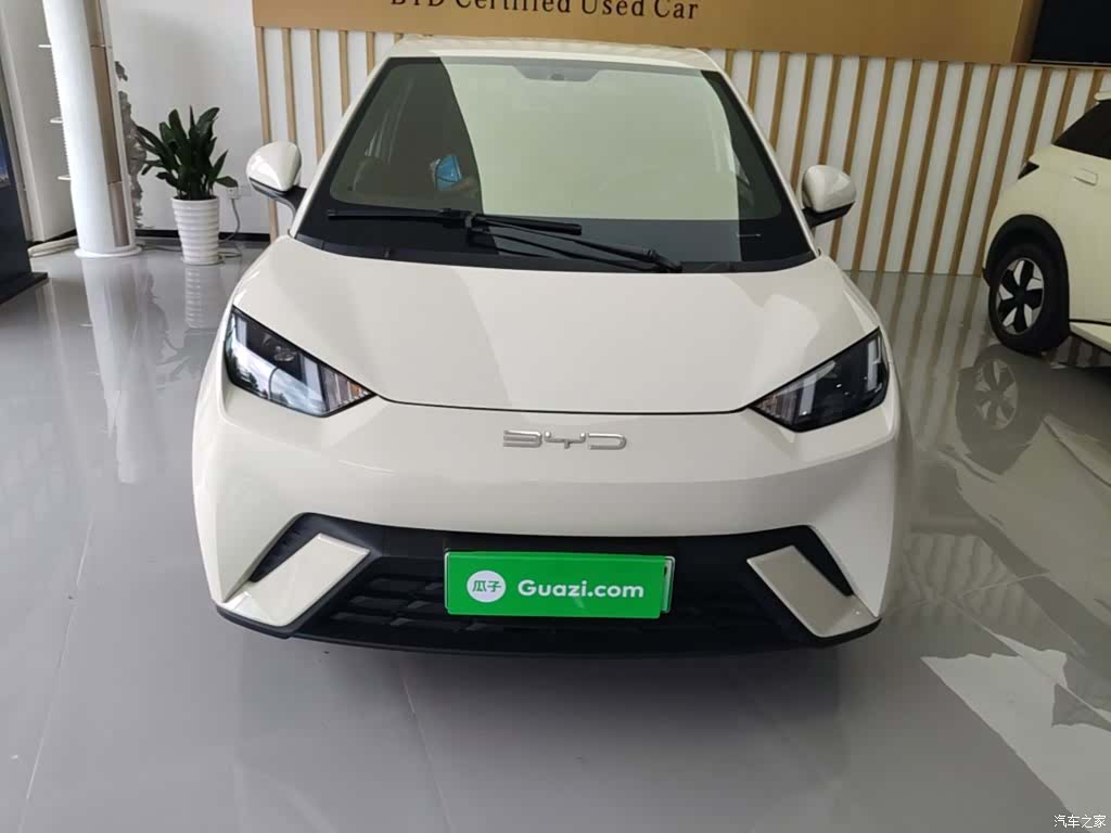 BYD Seagull, 2024 3