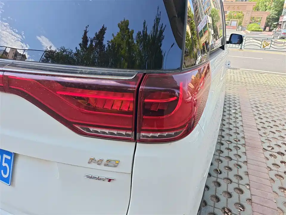 Trumpchi Trumpchi M8