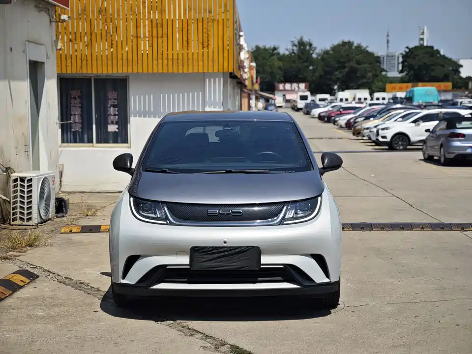 BYD dolphin