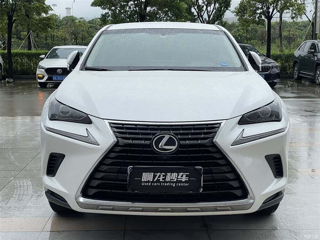 Lexus NX, 2017 2