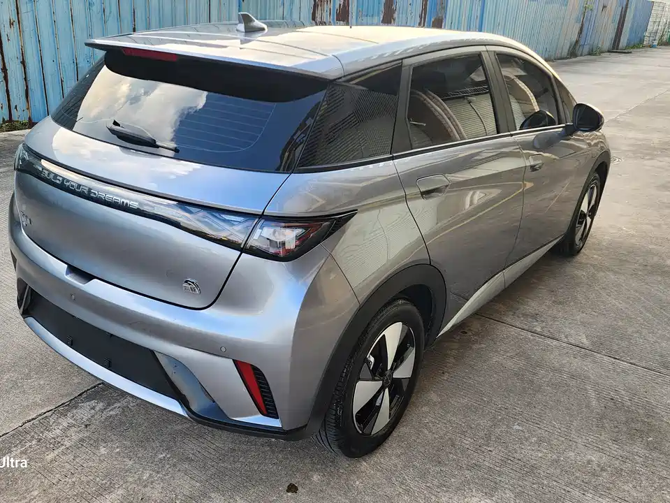 BYD dolphin