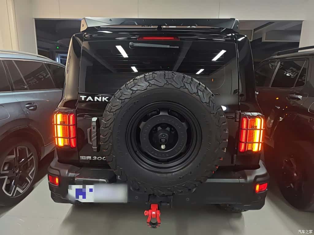 Tank 300, 2024 4