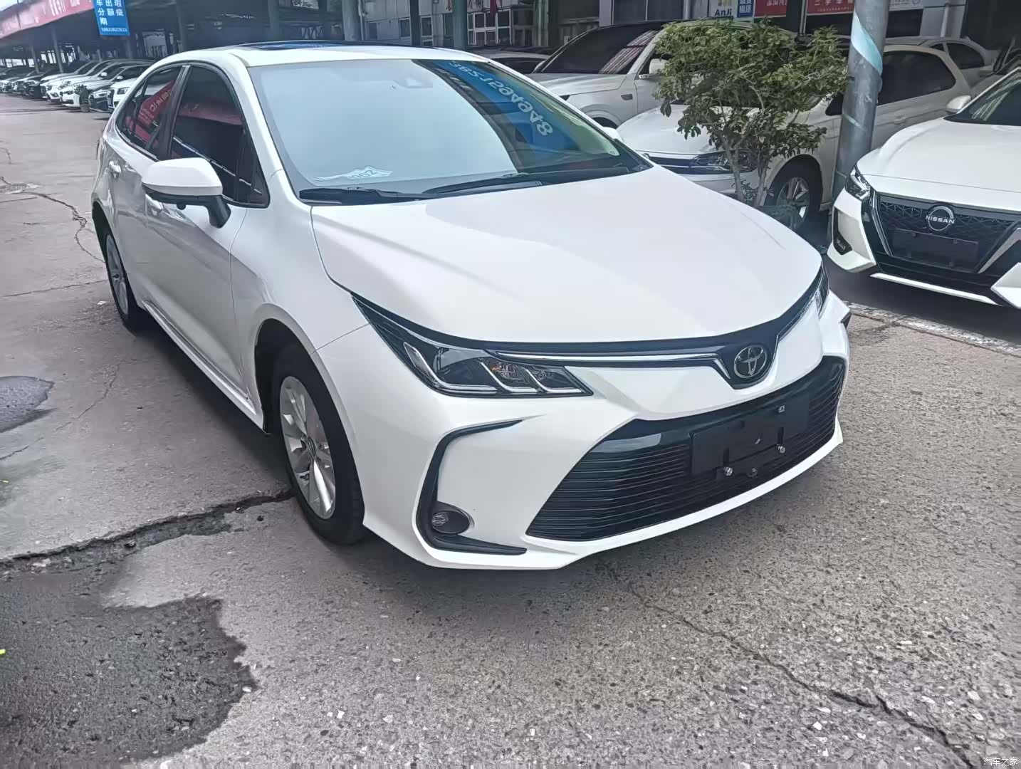 Toyota Corolla, 2022 3