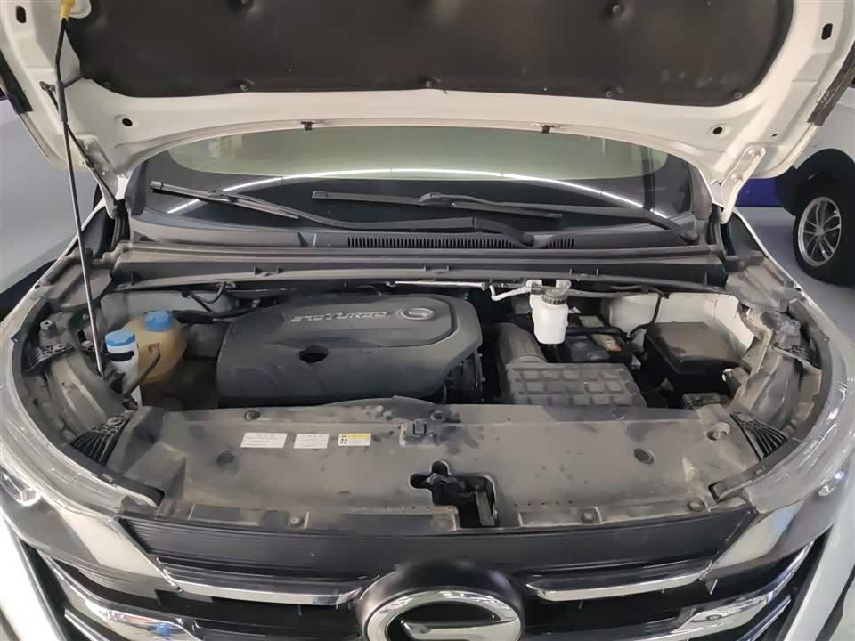 Trumpchi Trumpchi M6