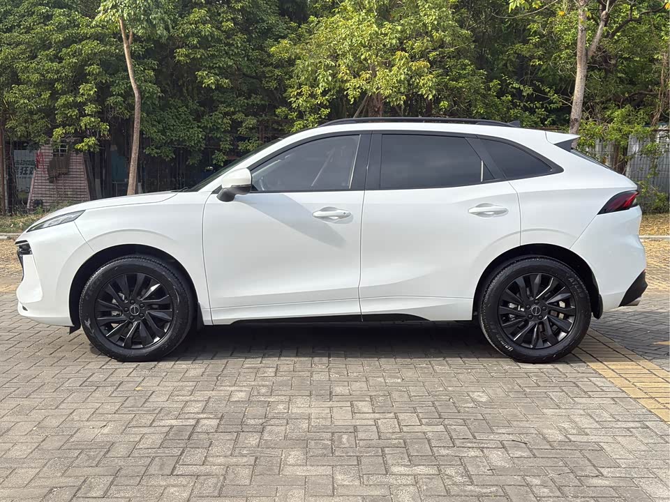 Forthing Popular T5 EVO