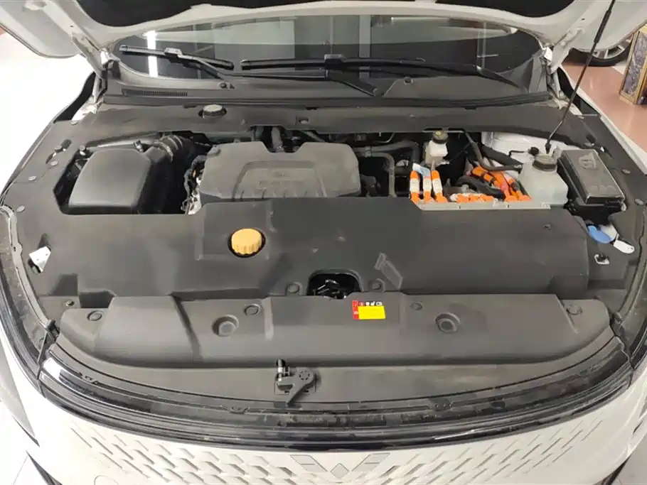 Wuling Wuling Starlight