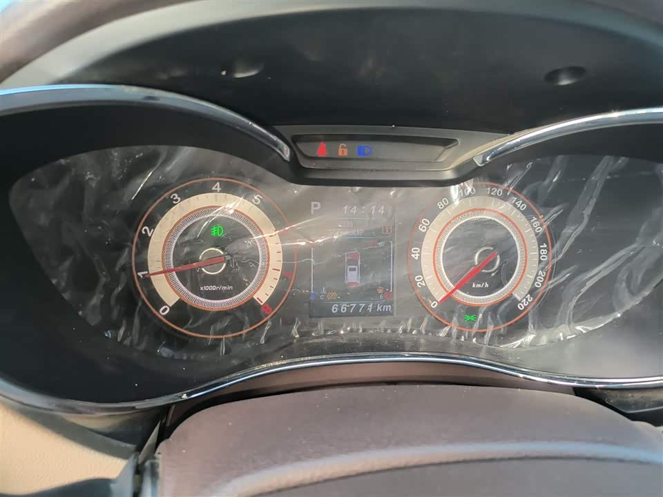 Leopaard Cheetah CS9