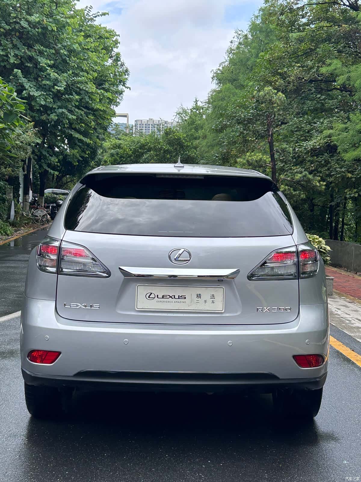 Lexus RX, 2010 6