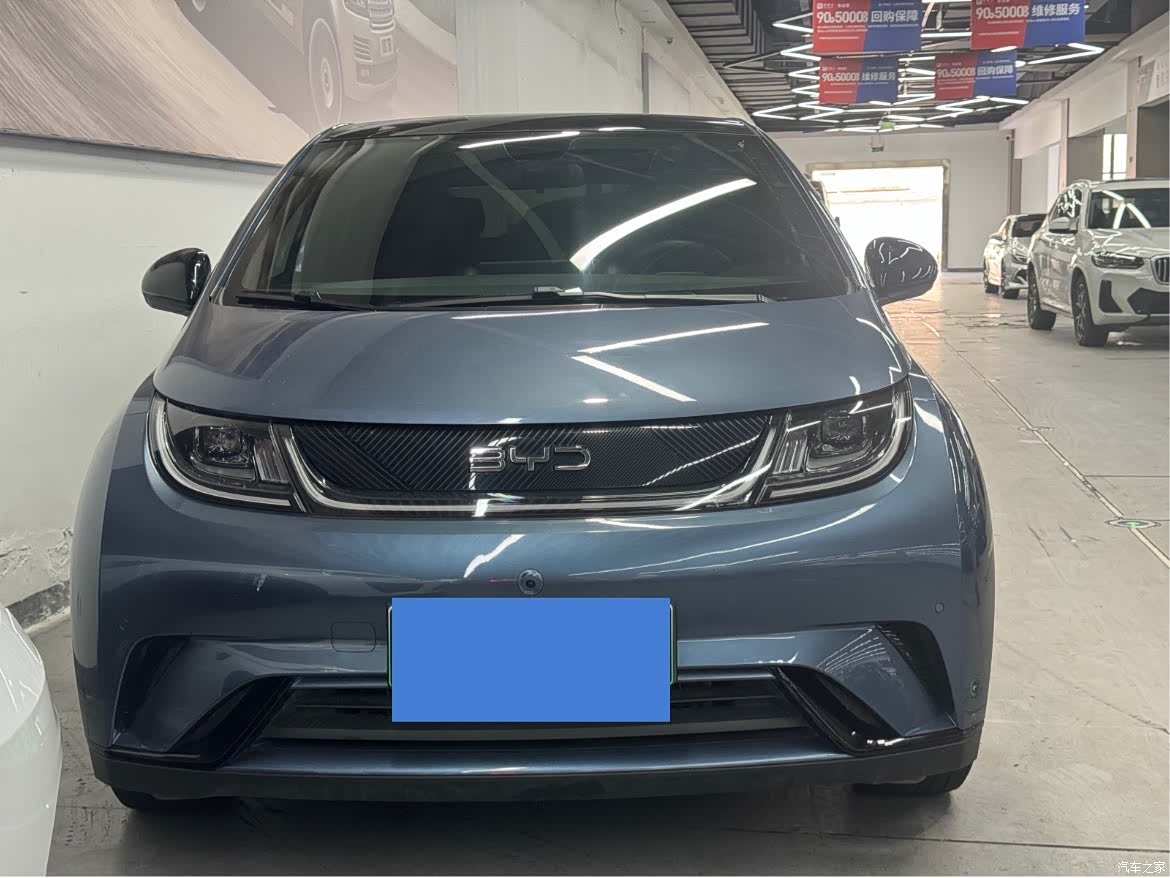 BYD Dolphin, 2024 2