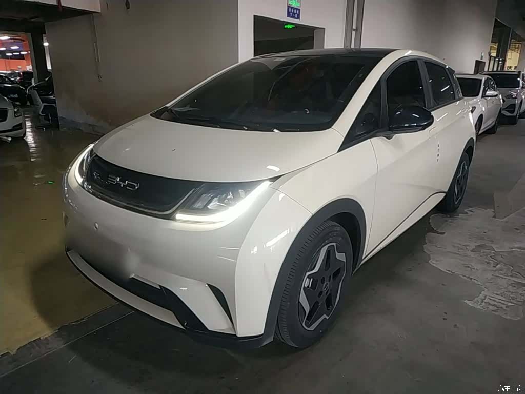BYD Dolphin, 2023 2