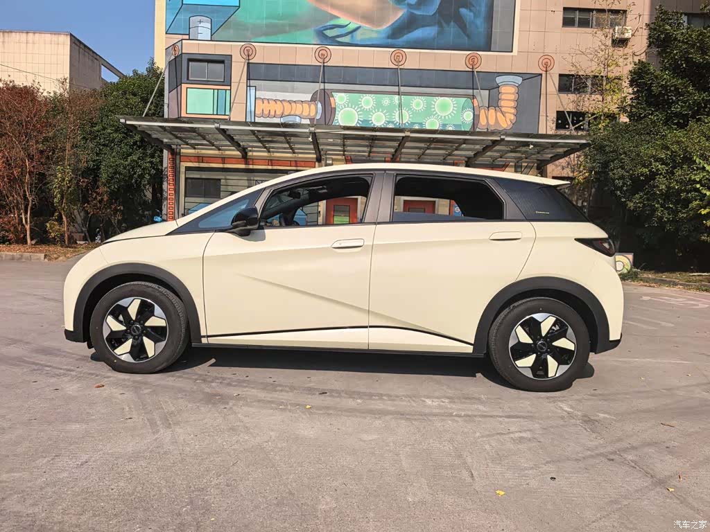 BYD Dolphin, 2024 19