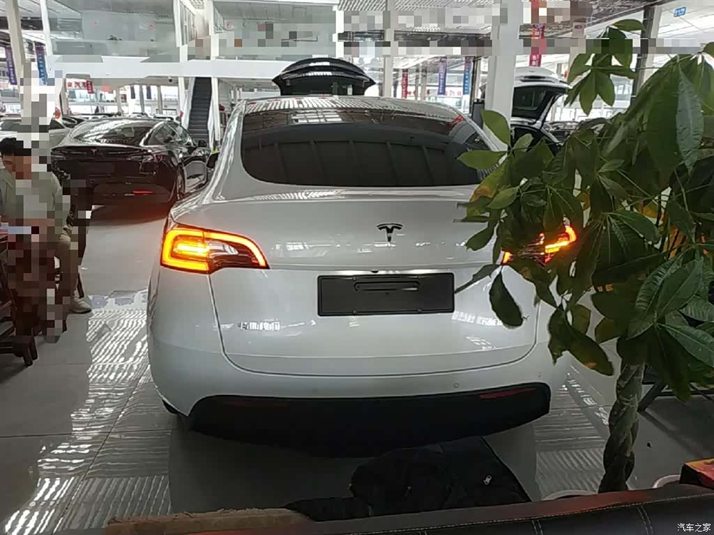 Tesla Model Y, 2021 6