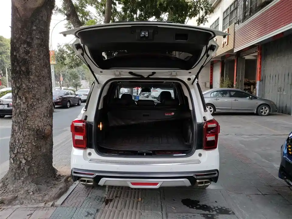 Trumpchi Trumpchi GS8