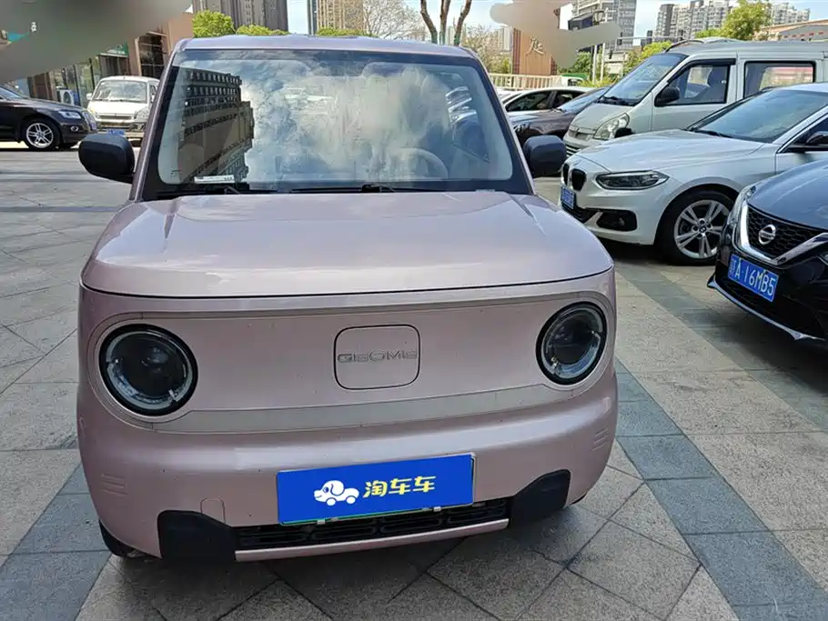 Geely Galaxy panda