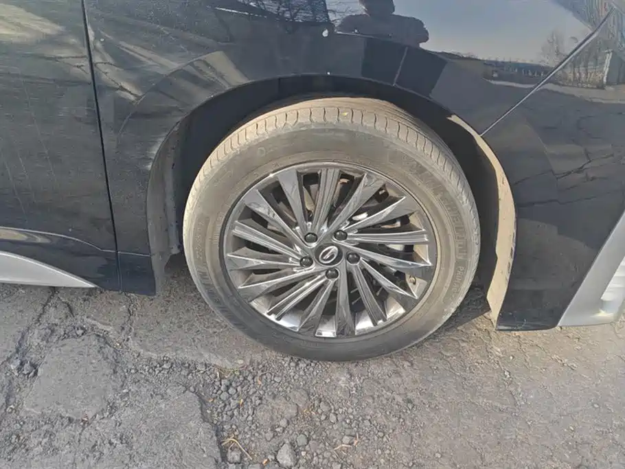 Trumpchi Trumpchi M8