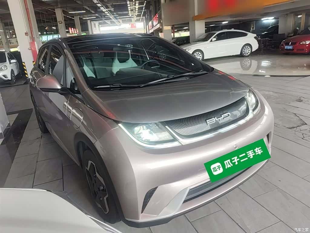 BYD Dolphin, 2022 4