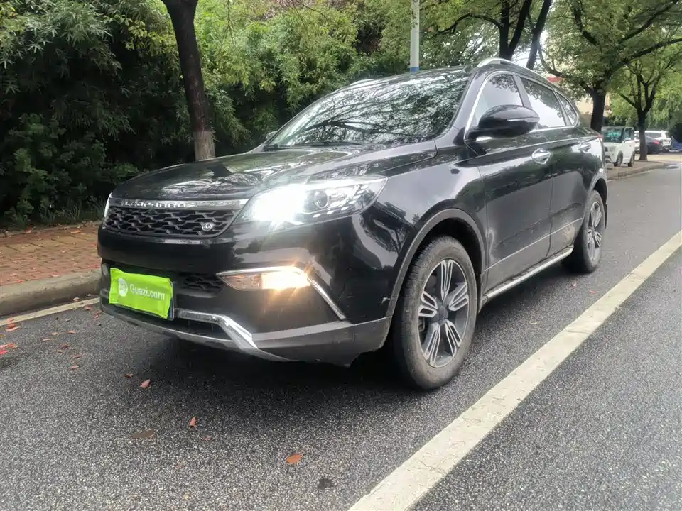 Leopaard Cheetah CS10