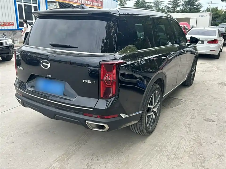 Trumpchi Trumpchi GS8