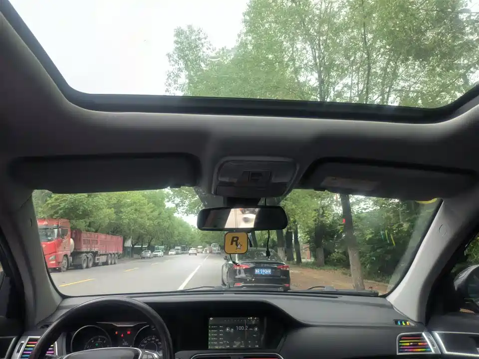 Leopaard Cheetah CS10