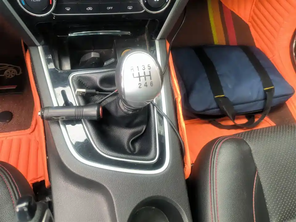 Leopaard Cheetah CS10