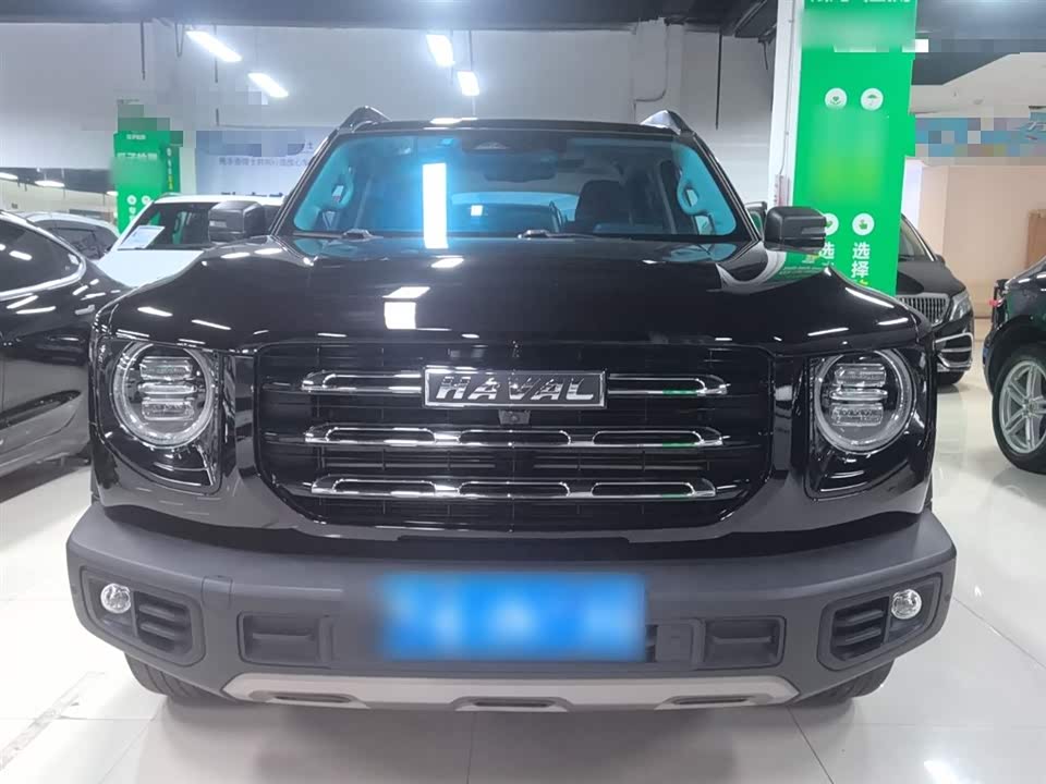 Haval Big dog