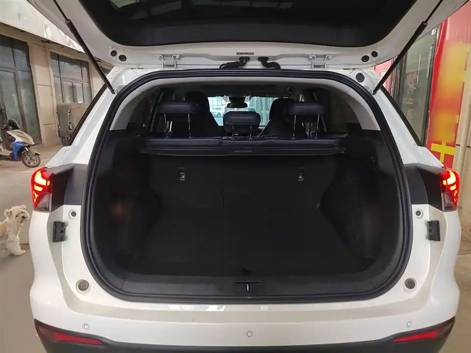 Trumpchi Trumpchi GS4