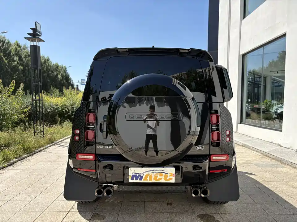 Land Rover guard