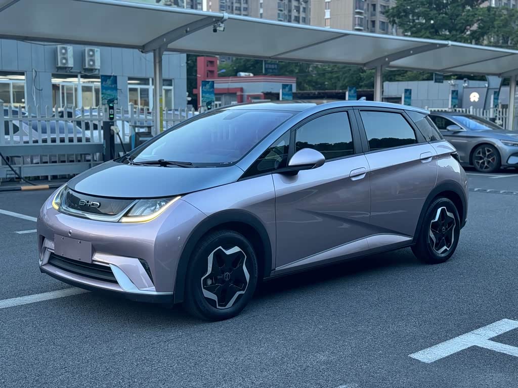 BYD Dolphin