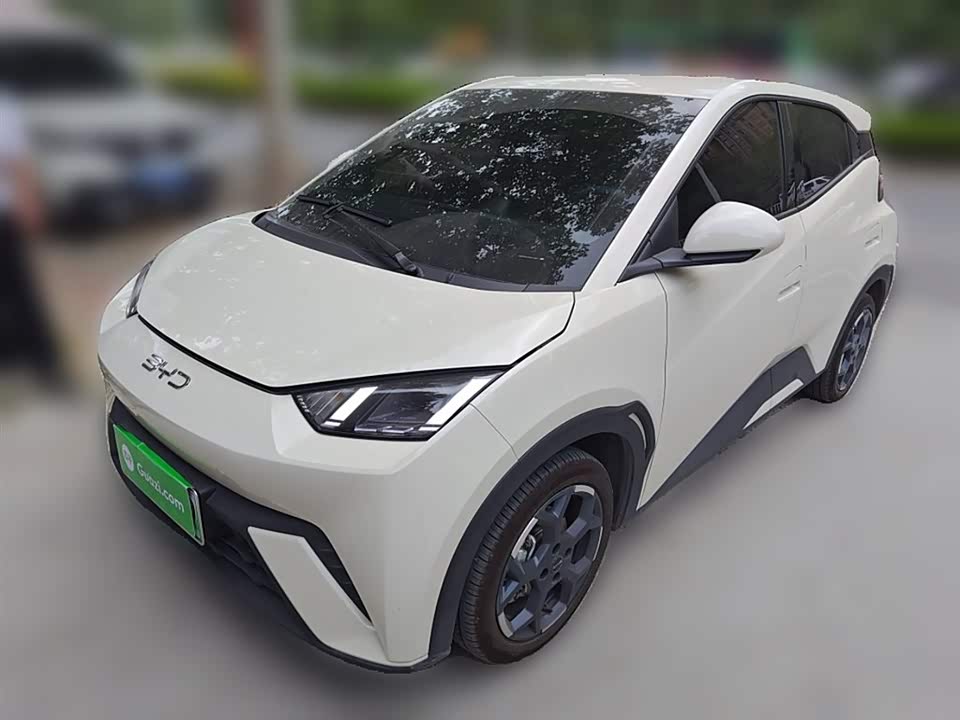 BYD Seagull