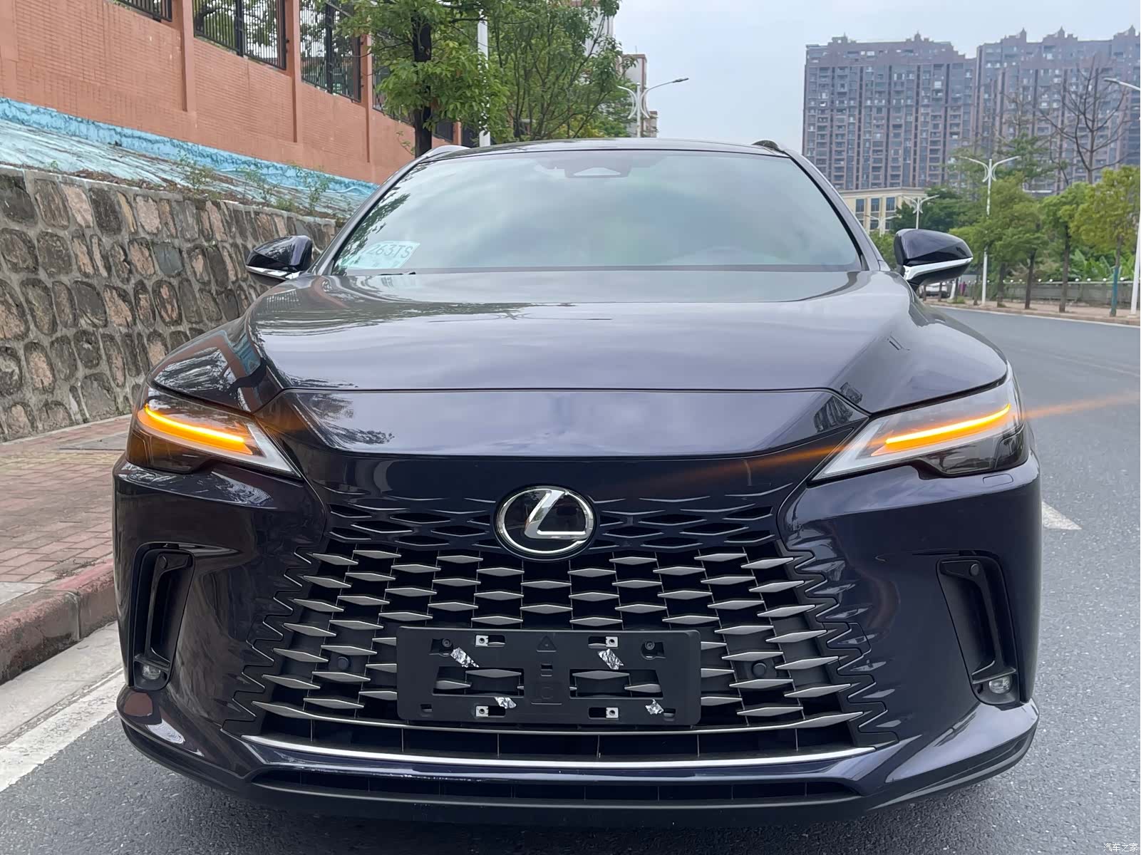 Lexus RX, 2024 2
