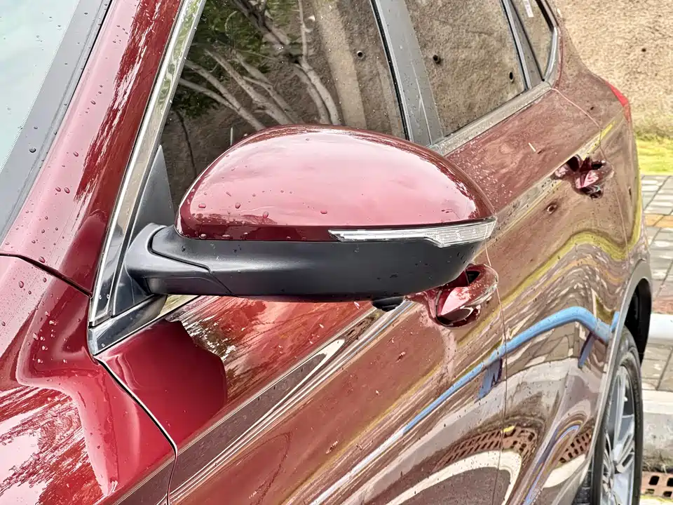 Leopaard Cheetah CS10