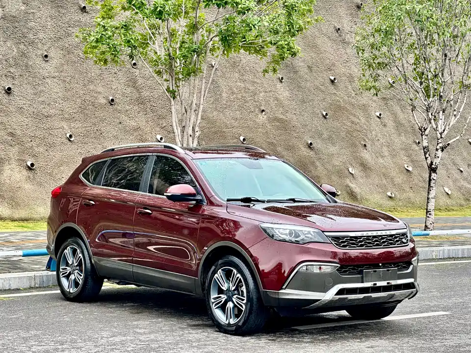 Leopaard Cheetah CS10