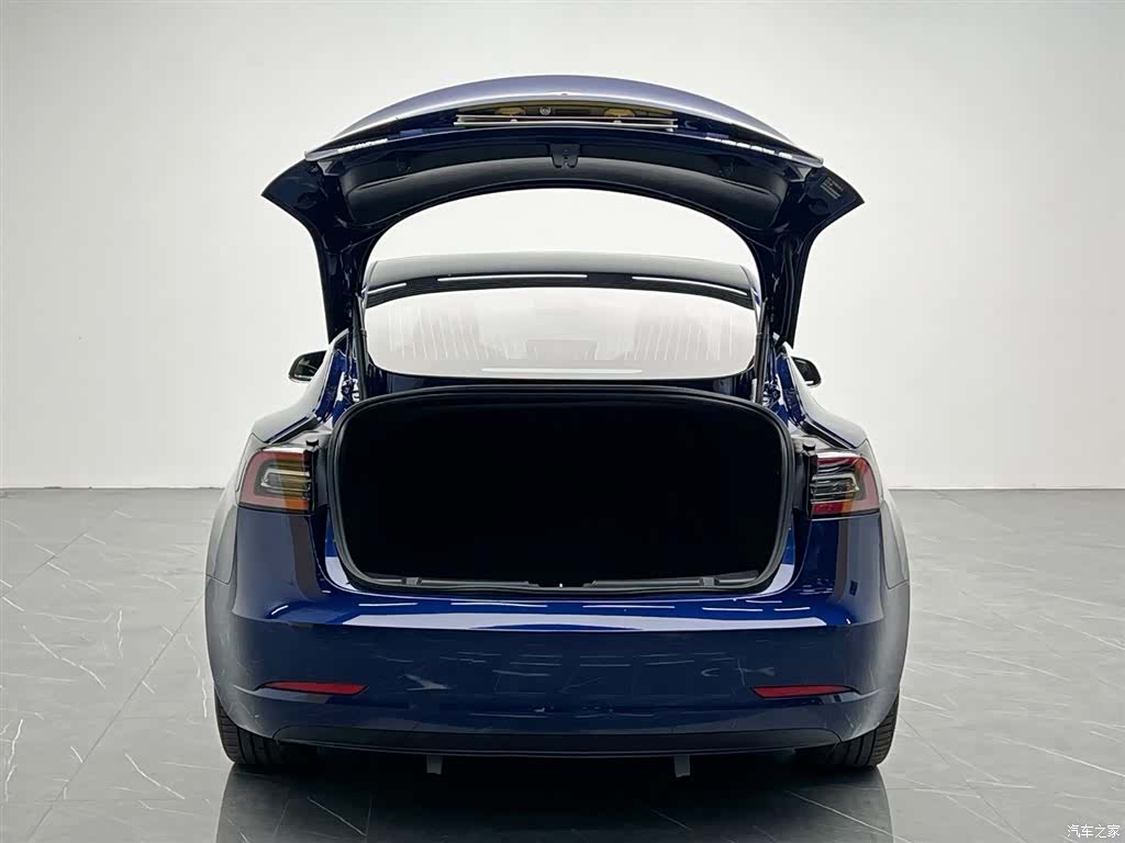 Tesla Model 3, 2020 12