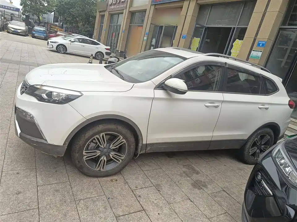 Leopaard Cheetah CS10