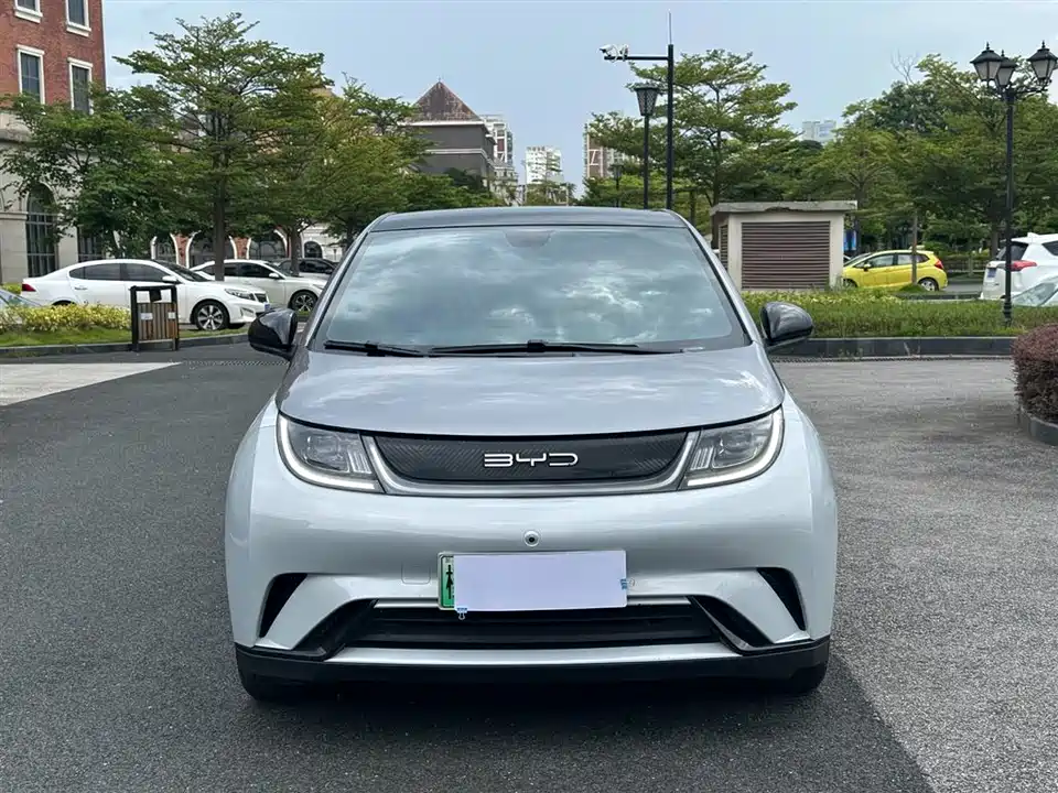 BYD dolphin