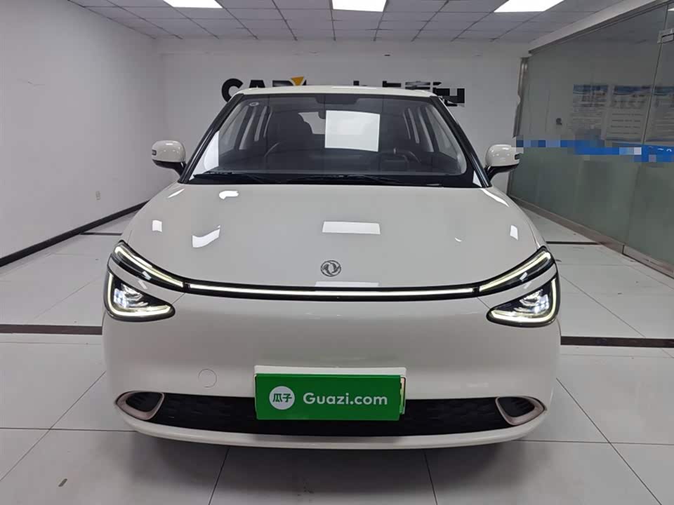 Dongfeng Nammi Nano 01