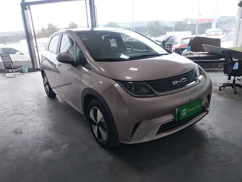 BYD dolphin