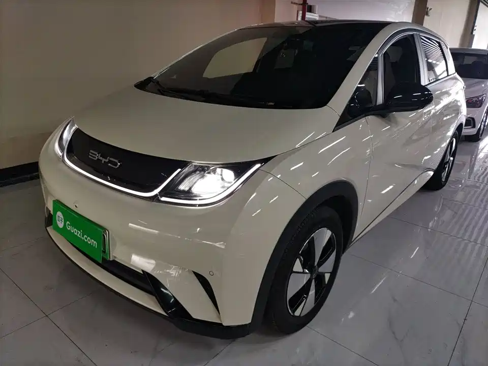 BYD dolphin
