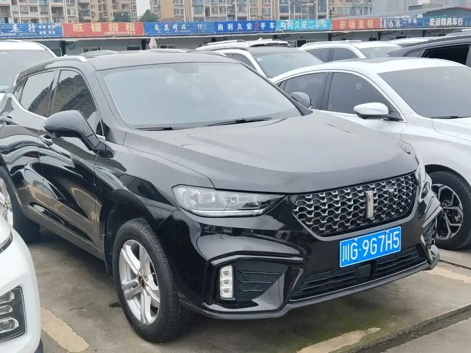 Weipai VV5