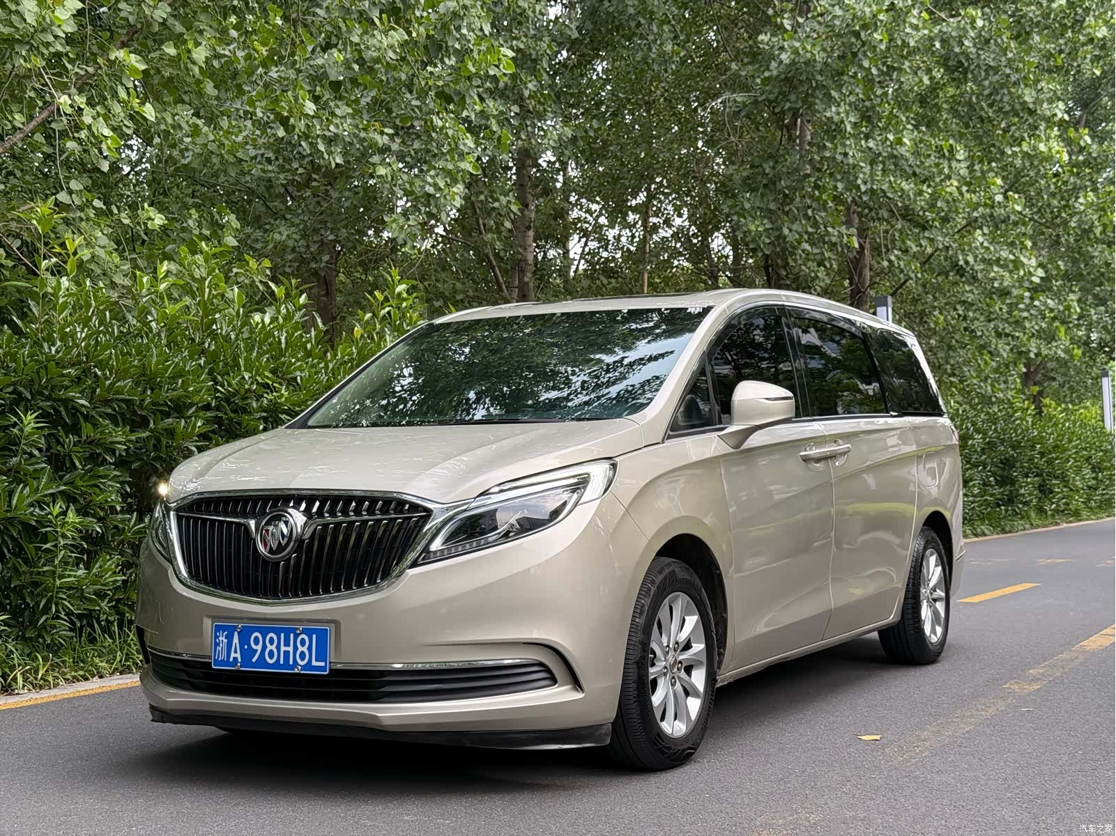 Buick GL8, 2019 1