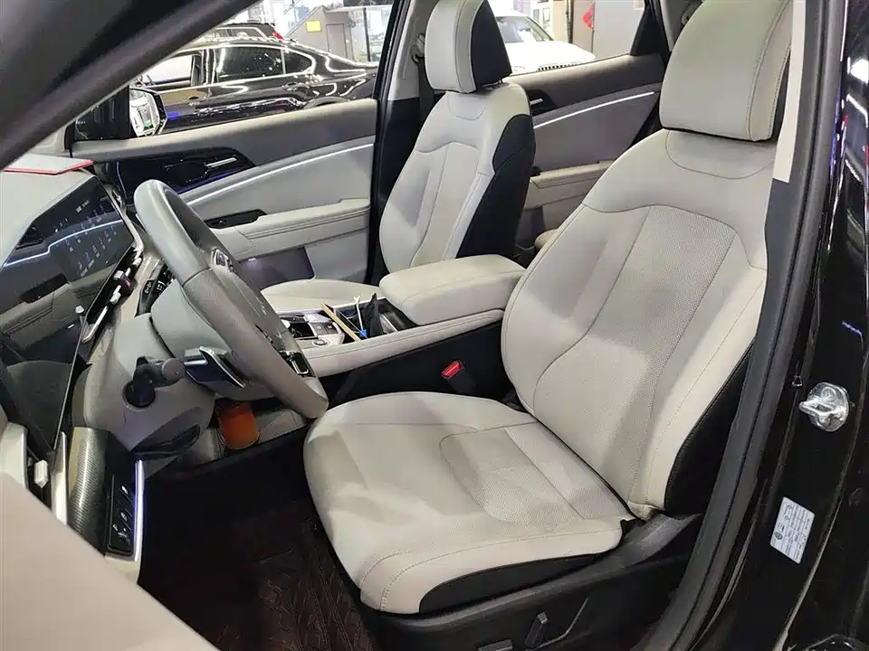 Kia Lion Platinum expands the world