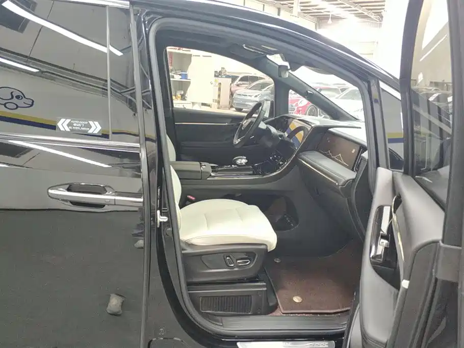 Trumpchi Trumpchi M8