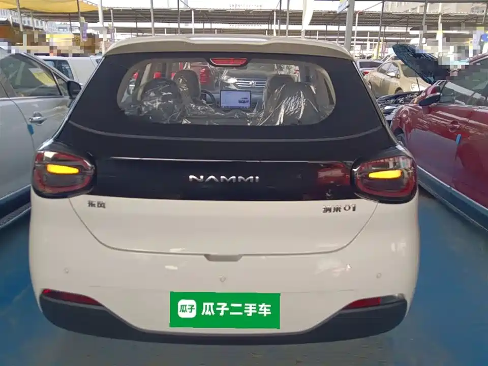 Dongfeng Nammi Nano 01