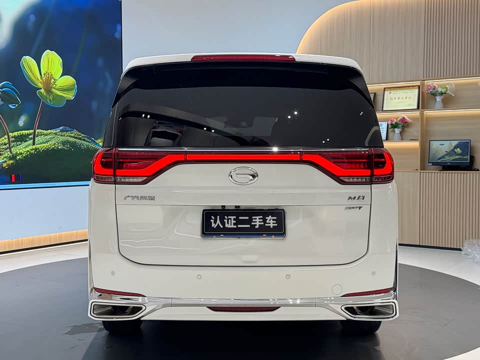 Trumpchi Trumpchi M8