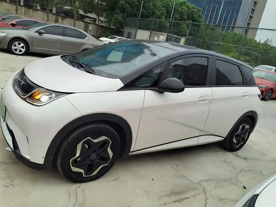 BYD dolphin