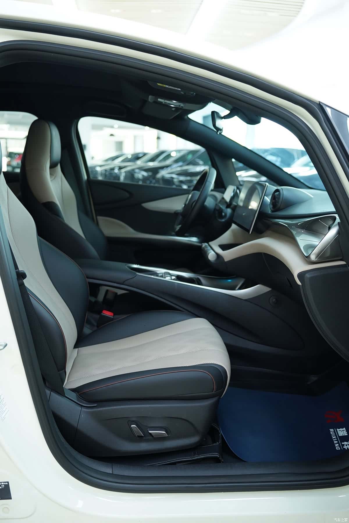 BYD Dolphin, 2023 8