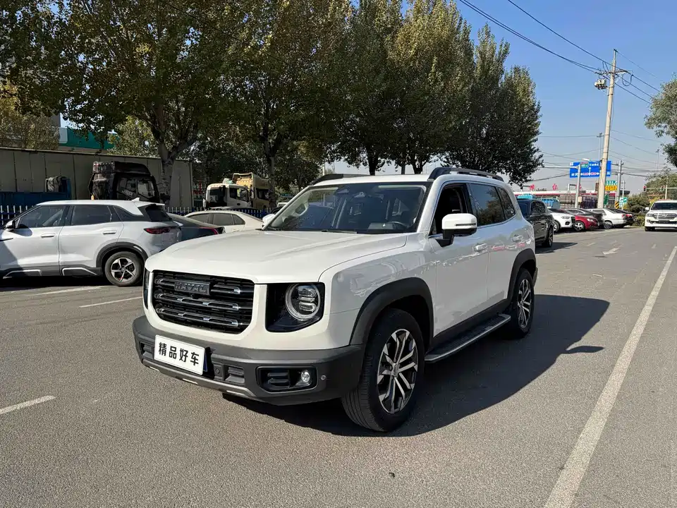 Haval Big dog